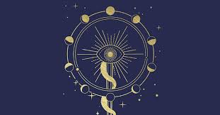 Educatie fatala - recenzie - Nemira